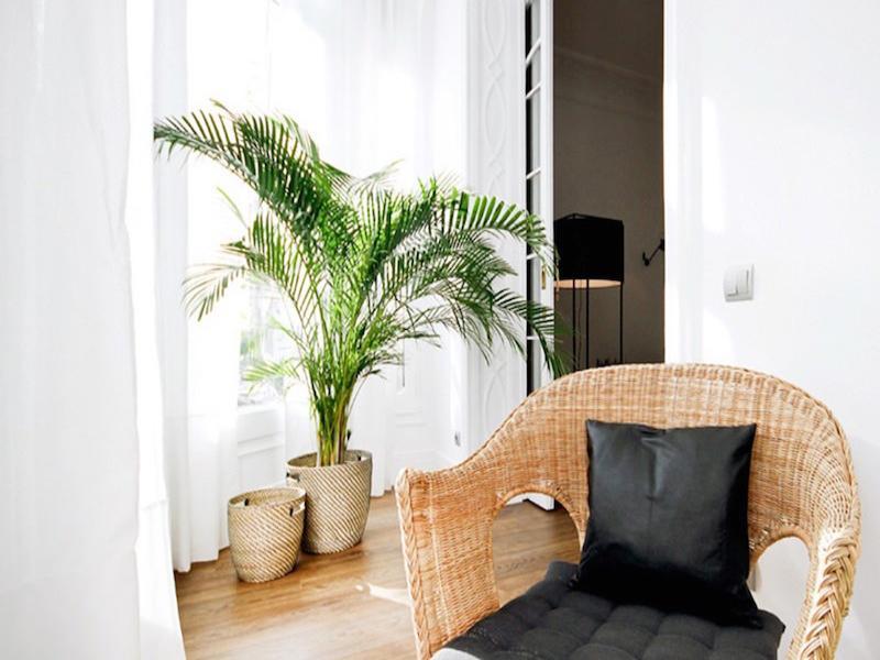 Malaga Apartments Andes La Cala Del Moral Екстер'єр фото